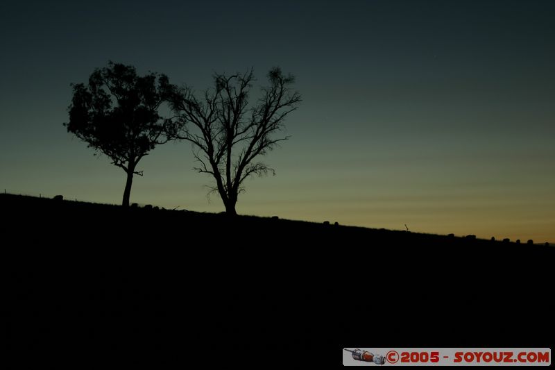 Cowra - Dusk time
Mots-clés: Nuit sunset