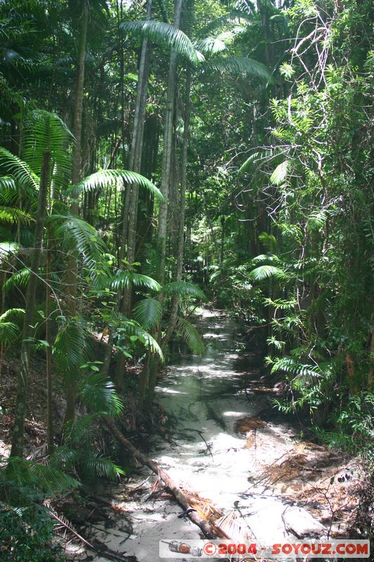 Fraser Island
Mots-clés: patrimoine unesco