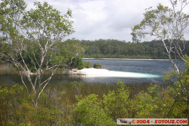 Fraser Island - McKenzie lake
Mots-clés: patrimoine unesco