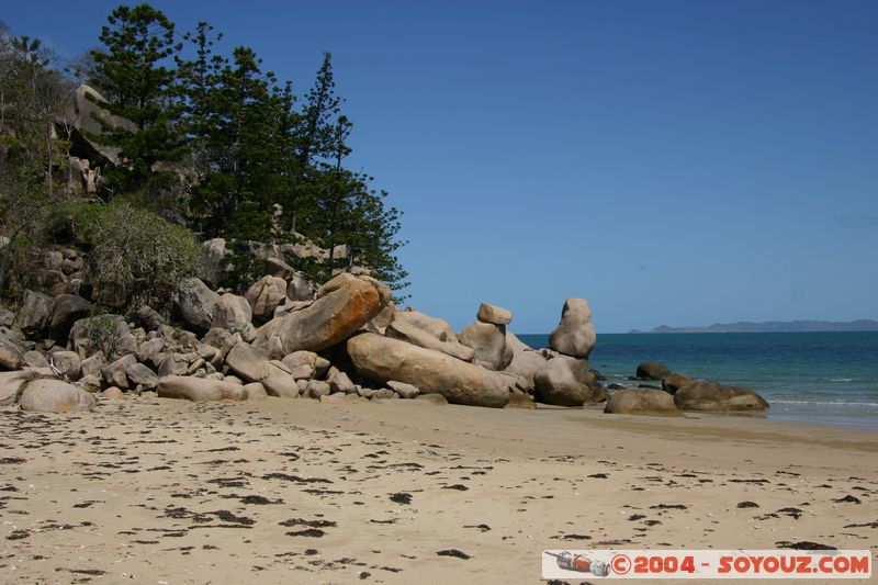 Magnetic Island - Florence Bay
Mots-clés: plage mer
