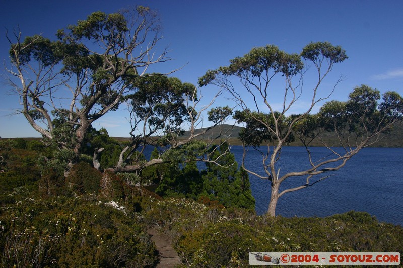 Overland Track - Lake Will
Mots-clés: Lac