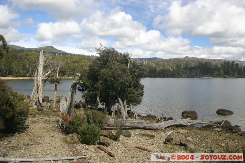 Overland Track - Lake St Clair

