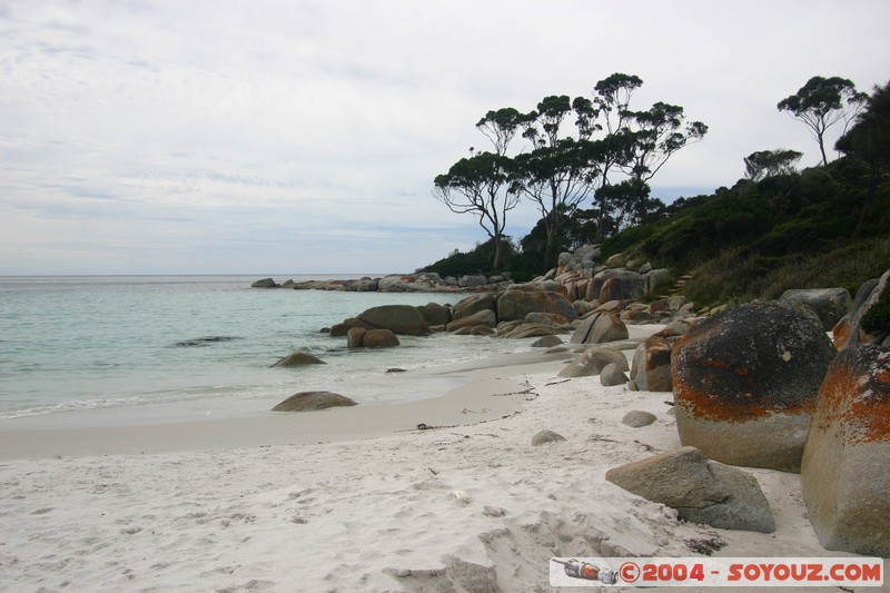 North East Trail - Bay of Fires
