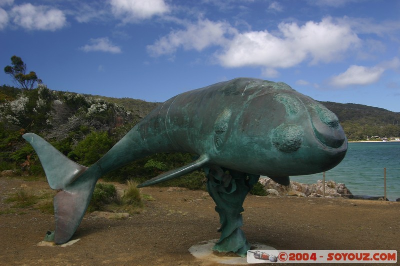 Fishers Point Walk - Whale Sculpture
Mots-clés: sculpture