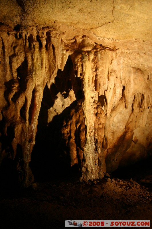 Naracoorte - Alexandra Cave
Mots-clés: patrimoine unesco grotte