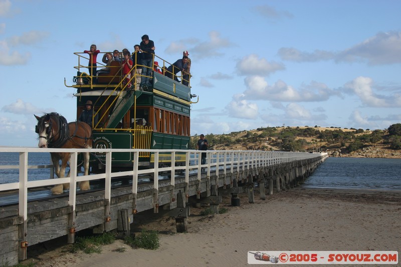 Victor Harbor - Granite Island - Tramway
Mots-clés: animals cheval