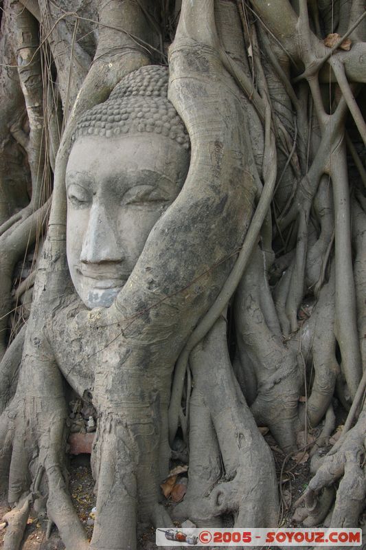 Ayutthaya - Wat Phra Mahathat - Buddha head
Mots-clés: thailand patrimoine unesco Boudhiste statue