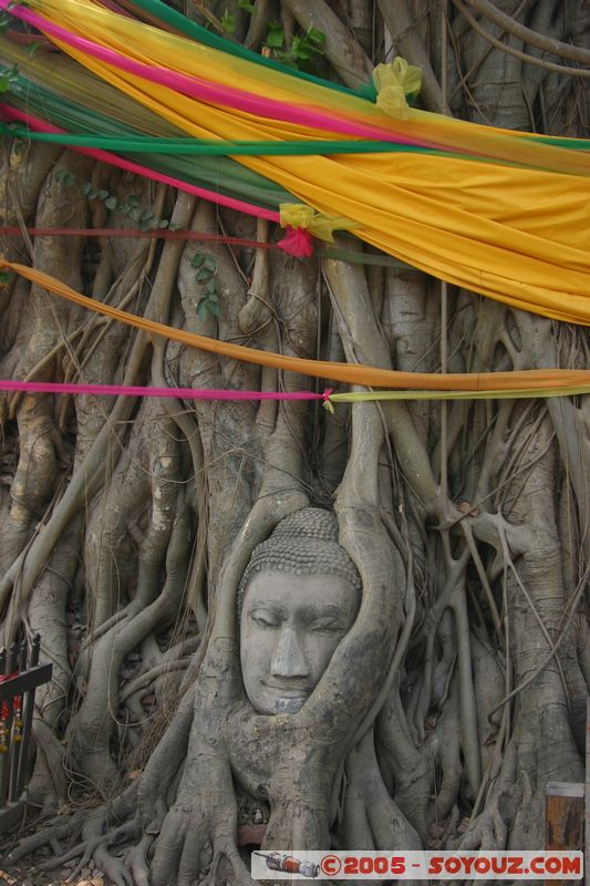 Ayutthaya - Wat Phra Mahathat - Buddha head
Mots-clés: thailand patrimoine unesco Boudhiste statue