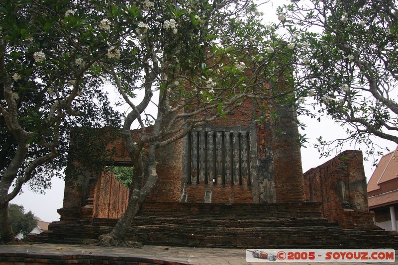 Ayutthaya - Wat Thammikarat
Mots-clés: thailand patrimoine unesco Ruines Boudhiste