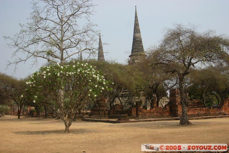 Ayutthaya - Wat Phra Sri Sanphet
Mots-clés: thailand patrimoine unesco Ruines Boudhiste