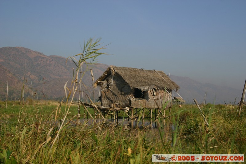 Inle lake - Lingin
Mots-clés: myanmar Burma Birmanie Lac