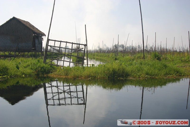 Inle lake - Kela - jardins flottants
Mots-clés: myanmar Burma Birmanie Lac