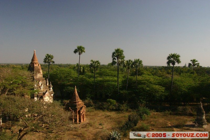 Bagan - Kyan-Sit-Thar Umin-Lay
Mots-clés: myanmar Burma Birmanie Ruines Pagode