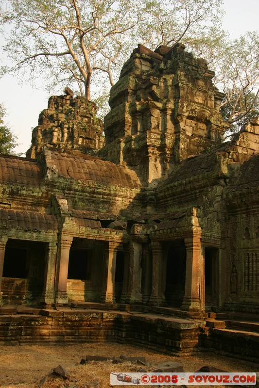 Angkor - Ta Prohm
Mots-clés: patrimoine unesco Ruines sunset