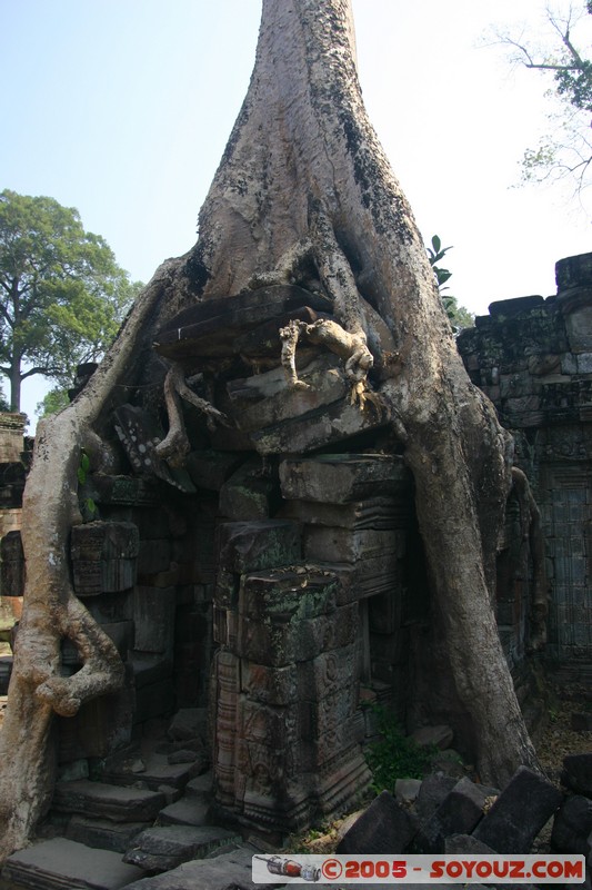 Angkor - Preah Khan
