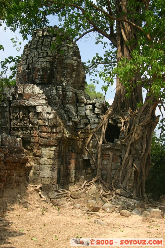 Angkor - Ta Som
Mots-clés: patrimoine unesco Ruines
