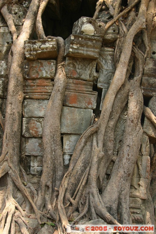 Angkor - Ta Som
Mots-clés: patrimoine unesco Ruines