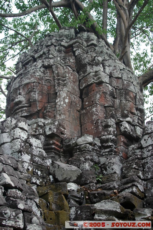 Angkor - Ta Som
Mots-clés: patrimoine unesco Ruines