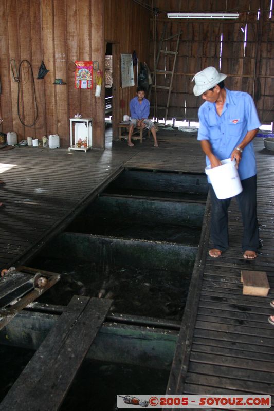 Chau Doc - Fish Farming
Mots-clés: Vietnam Riviere personnes usine