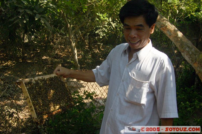 My Tho - Honey-bee farm
Mots-clés: Vietnam personnes usine