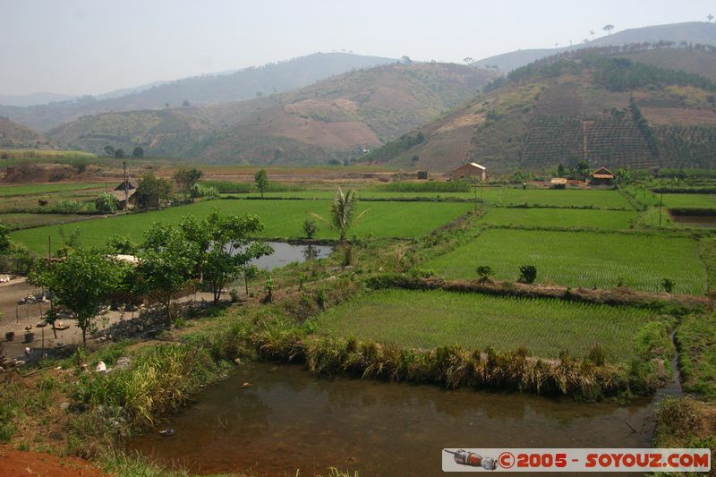 Around Dalat - Rice paddies
Mots-clés: Vietnam Riziere