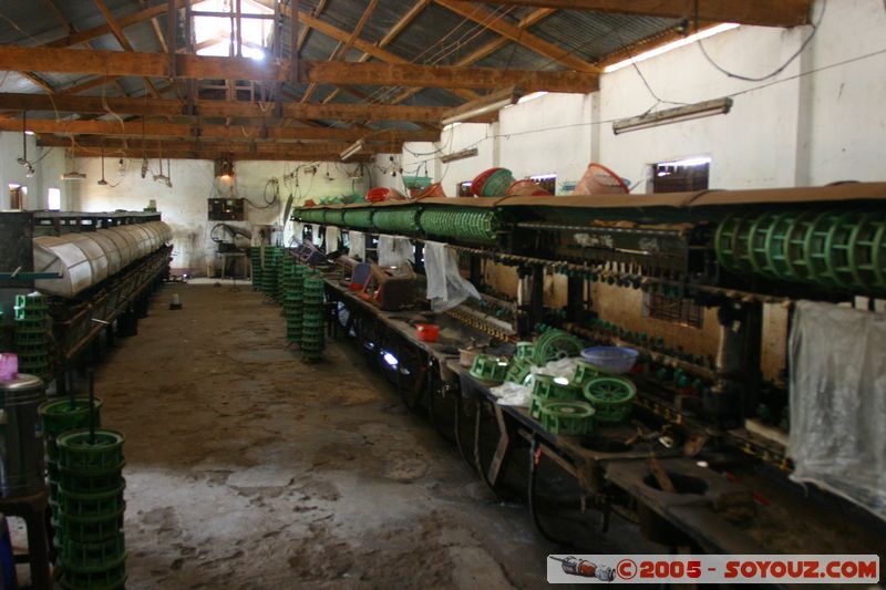 Around Dalat - Silkworm Farm
Mots-clés: Vietnam