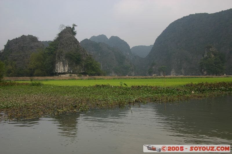 Ninh Binh - Tam Coc
Mots-clés: Vietnam Riviere Riziere