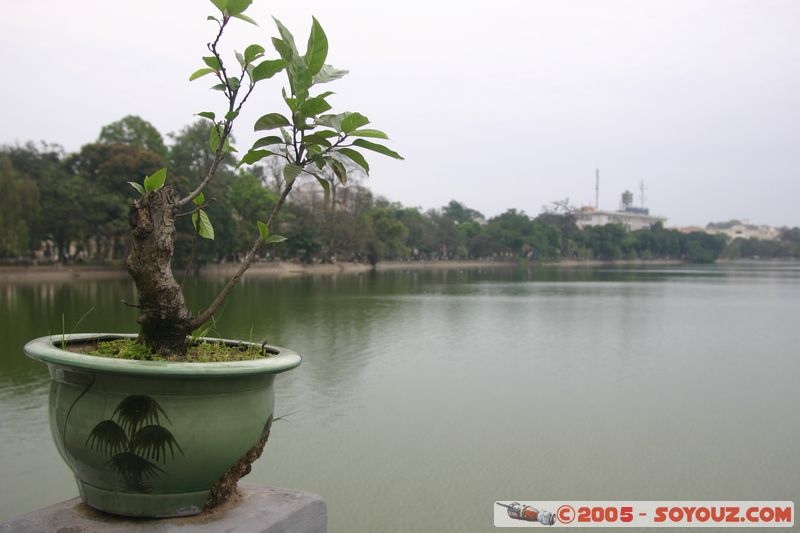 Hanoi - Hoan Kiem Lake
Mots-clés: Vietnam Lac Arbres