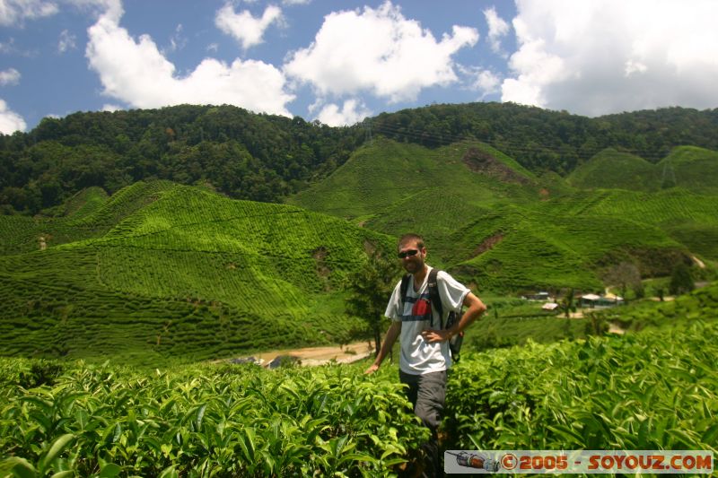 moi dans un champs de thé
me in tea field
Mots-clés: Cameron Highlands Jungle Treking Malaysia Tanah Rata Tea Plantations