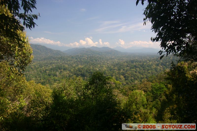 Vue sur le parc Taman Negara
View on Taman Negara park
Mots-clés: Jungle Treking Kuala Tahan Malaysia Taman Negara canopy walkway tropical rain forest