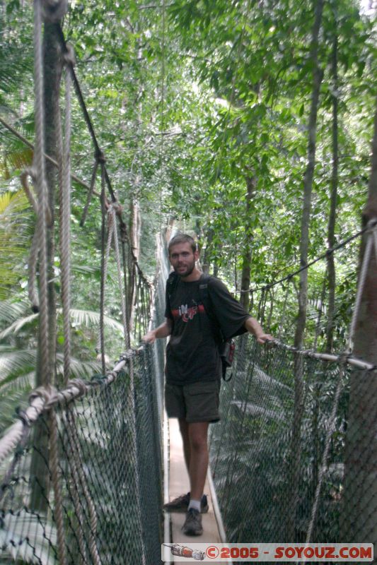 Moi sur la Canopy walkway
Mots-clés: Jungle Treking Kuala Tahan Malaysia Taman Negara canopy walkway tropical rain forest