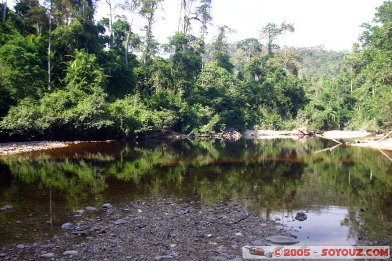 Lubok Simpon
Mots-clés: Jungle Treking Kuala Tahan Malaysia Taman Negara canopy walkway tropical rain forest