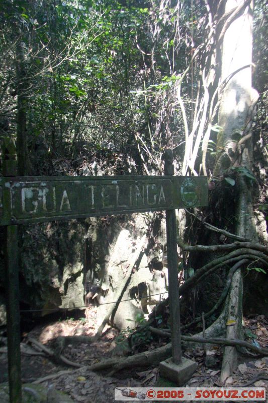 Gua Telinga
Mots-clés: Jungle Treking Kuala Tahan Malaysia Taman Negara canopy walkway tropical rain forest