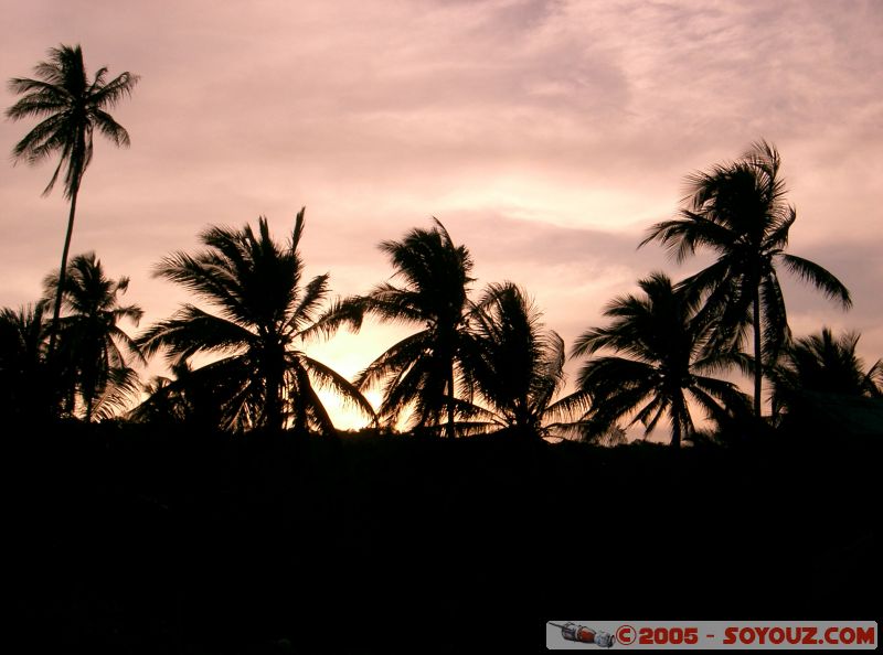 Palmtrees at sunset
Mots-clés: Kecil Malaysia Perhentian Islands beach diving paradis paradise plongés scuba
