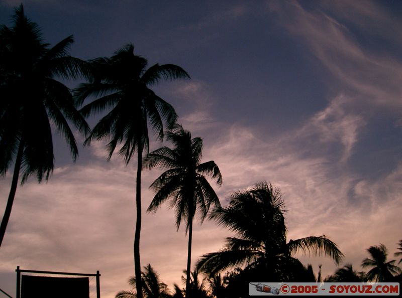 Palmtrees at sunset
Mots-clés: Kecil Malaysia Perhentian Islands beach diving paradis paradise plongés scuba