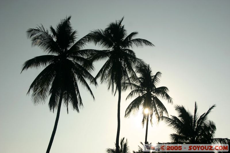 Palmiers / palmtrees
Long Beach - Paulau Perhentian Kecil
Mots-clés: Kecil Malaysia Perhentian Islands beach diving paradis paradise plongés scuba