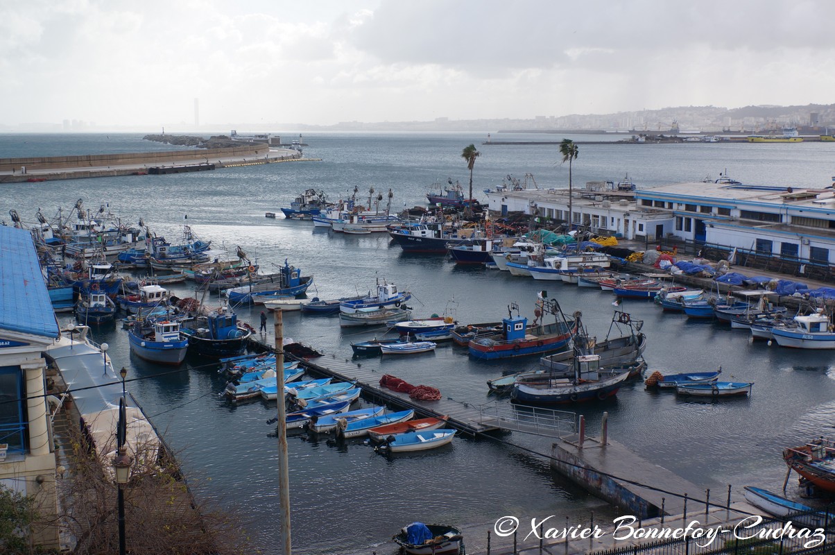 Alger - La Casbah - Port
Mots-clés: Alger Algérie Amiraut Cite Diar El Khaloua DZA geo:lat=36.78518904 geo:lon=3.06395672 geotagged DZ Mer bateau La Casbah Casbah
