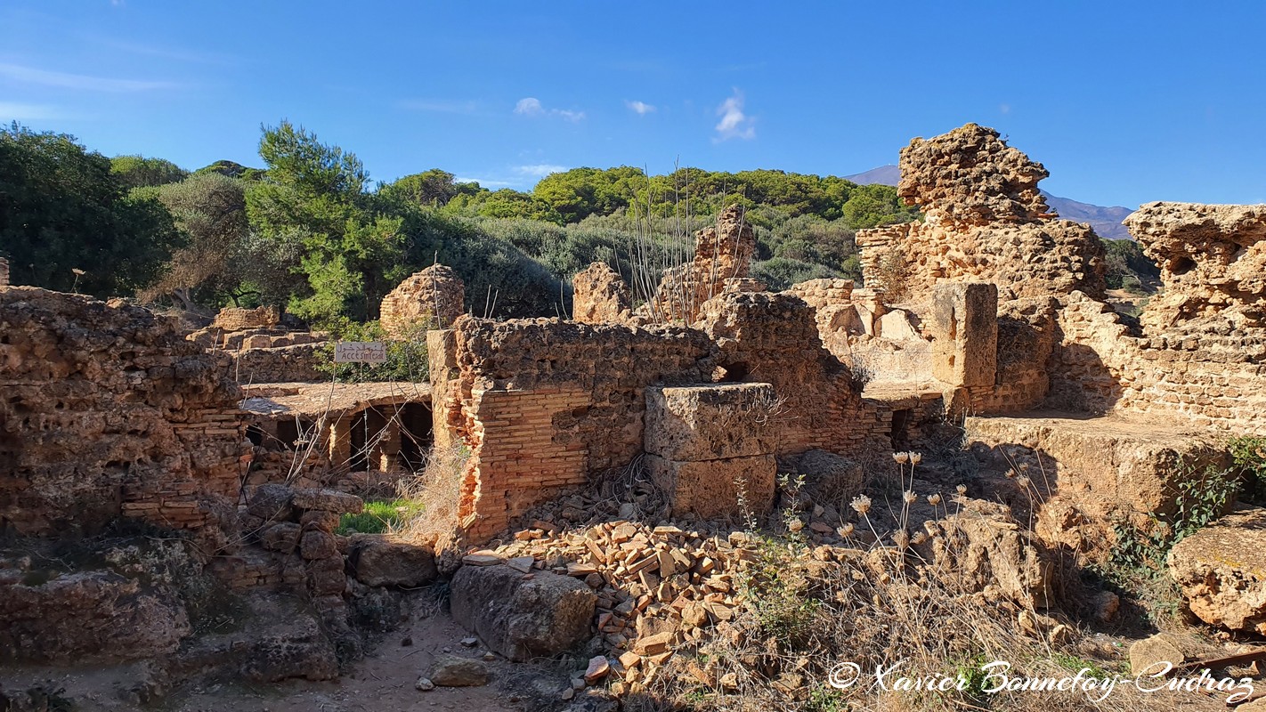 Tipaza - Ruines de Tipasa - Thermes
Mots-clés: Algérie Bekheira DZA geo:lat=36.59408832 geo:lon=2.44353801 geotagged Tipasa Tipaza DZ patrimoine unesco Ruines romaines Thermes