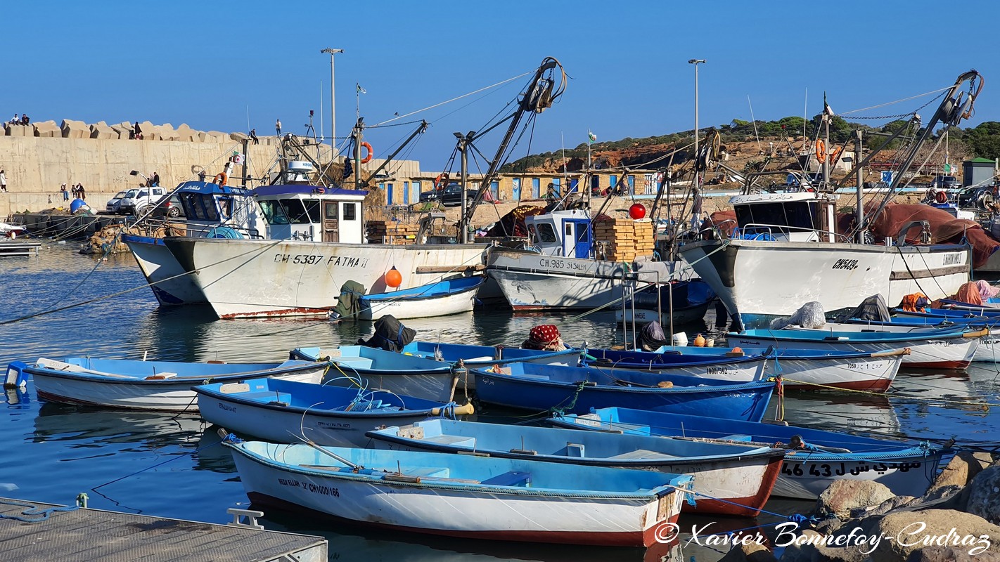 Tipaza - Port
Mots-clés: Algérie Bekheira DZA geo:lat=36.59351979 geo:lon=2.44983852 geotagged Tipasa Tipaza DZ Port bateau Mer