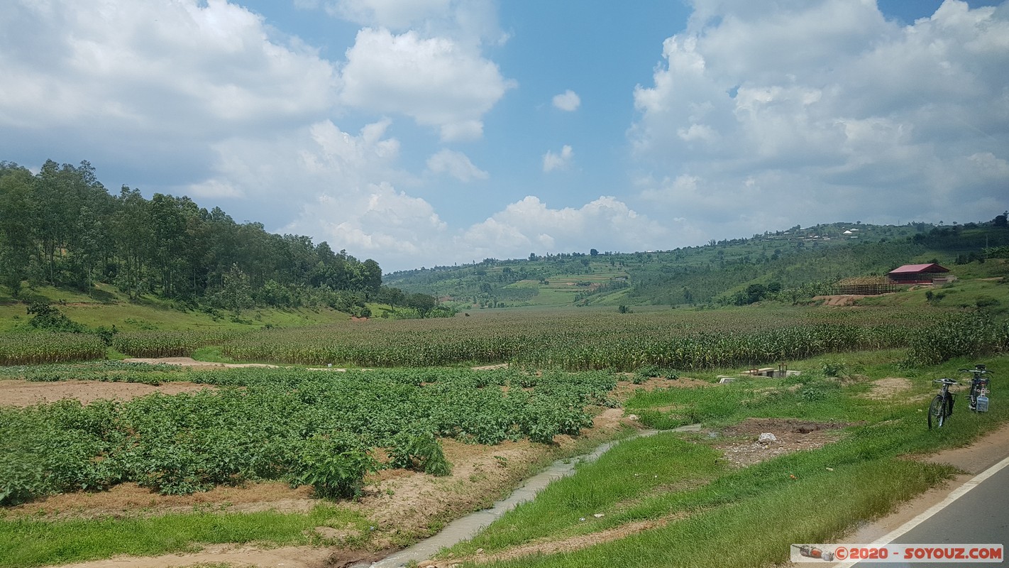 Road to Gakombe - Kigembe
Mots-clés: Kigembe RWA Rwanda Southern Province