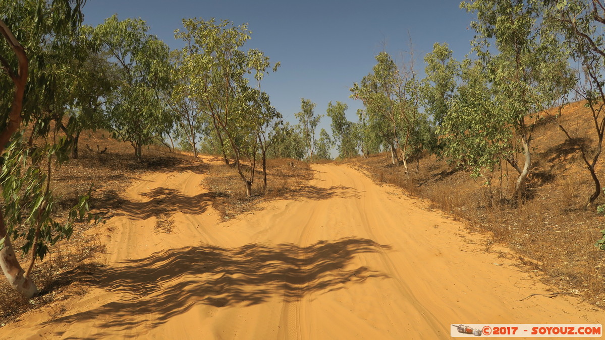 Desert de Lompoul
Mots-clés: geo:lat=15.45069684 geo:lon=-16.68633342 geotagged Mbèss Region Louga SEN Senegal Désert de Lompoul Desert Eucalyptus