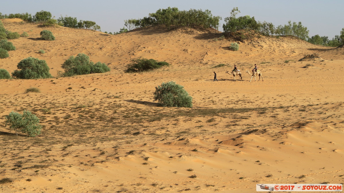 Desert de Lompoul - Dromadaires
Mots-clés: geo:lat=15.45797167 geo:lon=-16.68772817 geotagged Mbèss Region Louga SEN Senegal Désert de Lompoul Desert animals Dromadaire