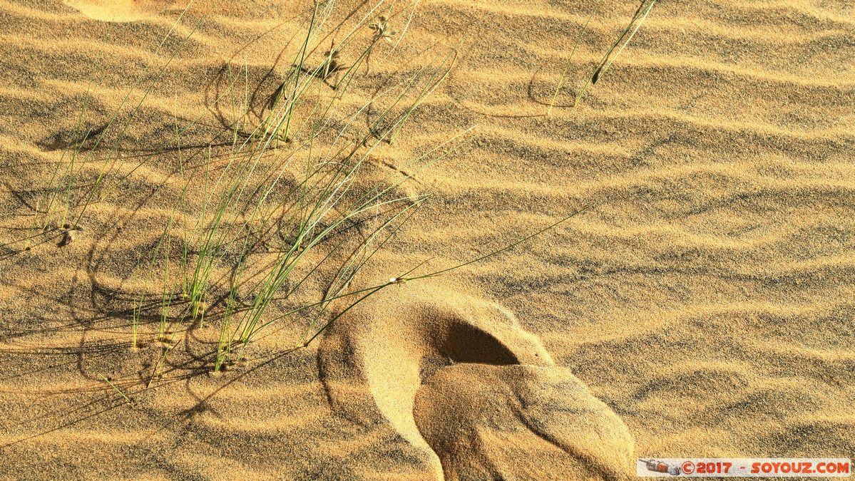 Desert de Lompoul
Mots-clés: geo:lat=15.45799235 geo:lon=-16.68773890 geotagged Mbèss Region Louga SEN Senegal Désert de Lompoul Desert