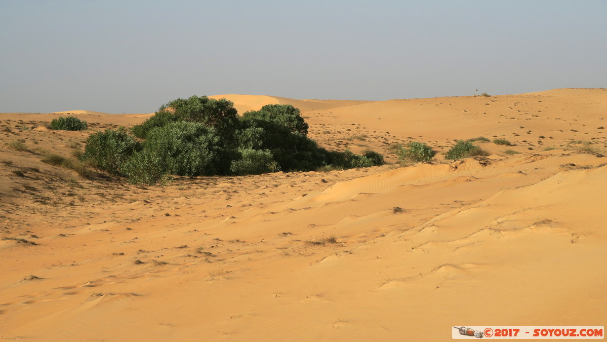 Desert de Lompoul
Mots-clés: geo:lat=15.45929528 geo:lon=-16.68868303 geotagged SEN Senegal Thiès Tioukougne Peul Désert de Lompoul Desert