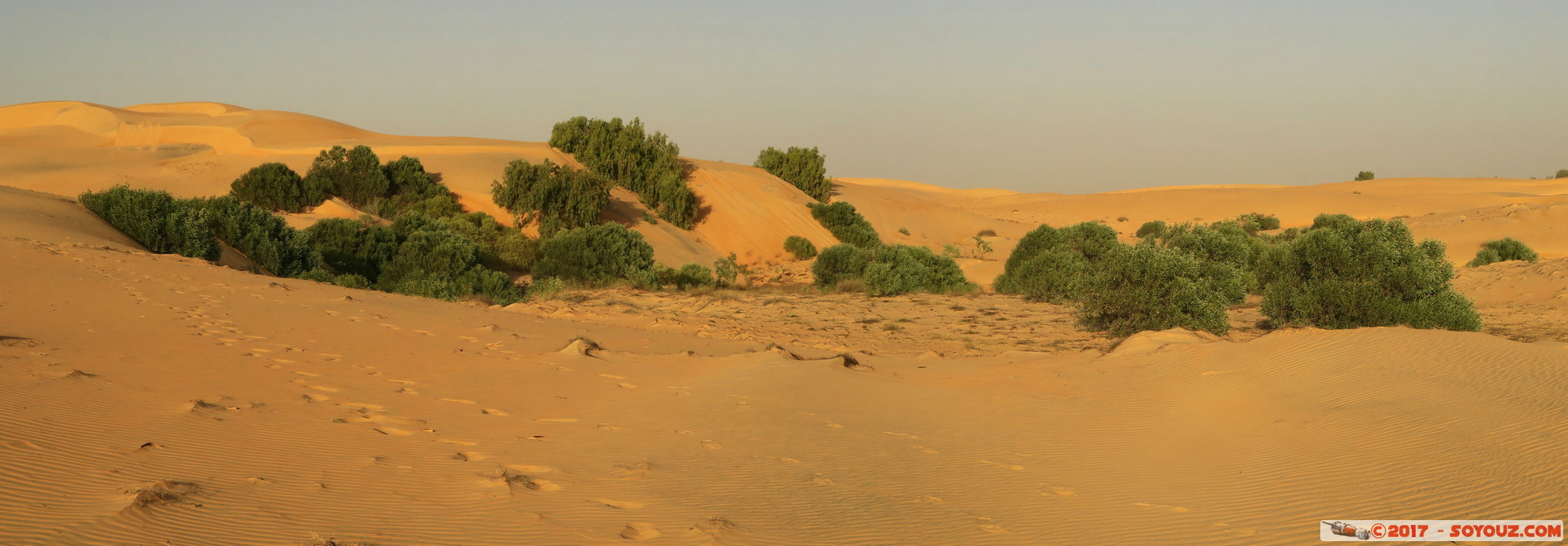 Desert de Lompoul - Panorama
Mots-clés: geo:lat=15.45925392 geo:lon=-16.69083953 geotagged SEN Senegal Thiès Tioukougne Peul Désert de Lompoul Desert panorama