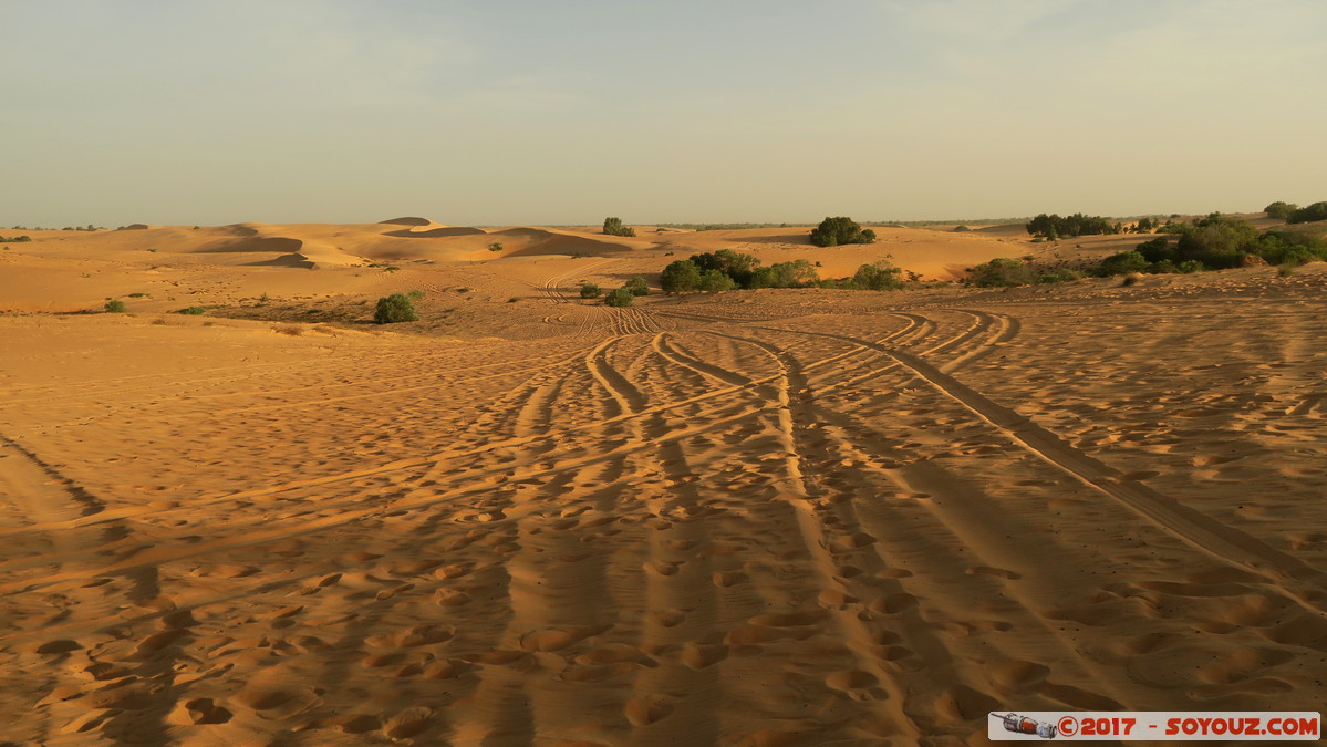 Desert de Lompoul
Mots-clés: geo:lat=15.45485133 geo:lon=-16.68729901 geotagged Mbèss Region Louga SEN Senegal Désert de Lompoul Desert
