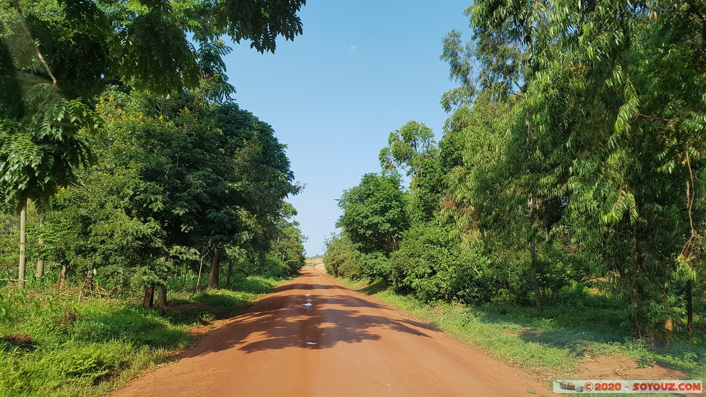 Kibondo - Road to Airstrip
Mots-clés: Kibondo Kigoma Tanzanie TZA Tanzania Route