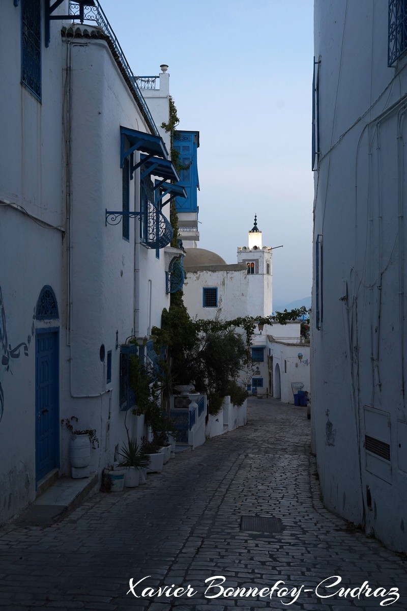 Sidi Bou Saïd - Heure bleue - Mosquee
Mots-clés: geo:lat=36.87188034 geo:lon=10.34854978 geotagged Sidi Bou Saïd TUN Tūnis Tunisie Tunis Carthage Mosque Religion