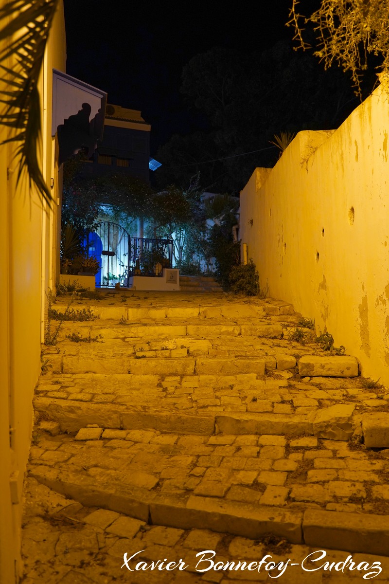 Sidi Bou Saïd by Night
Mots-clés: geo:lat=36.87180685 geo:lon=10.34916468 geotagged Sidi Bou Saïd TUN Tūnis Tunisie Tunis Carthage Nuit