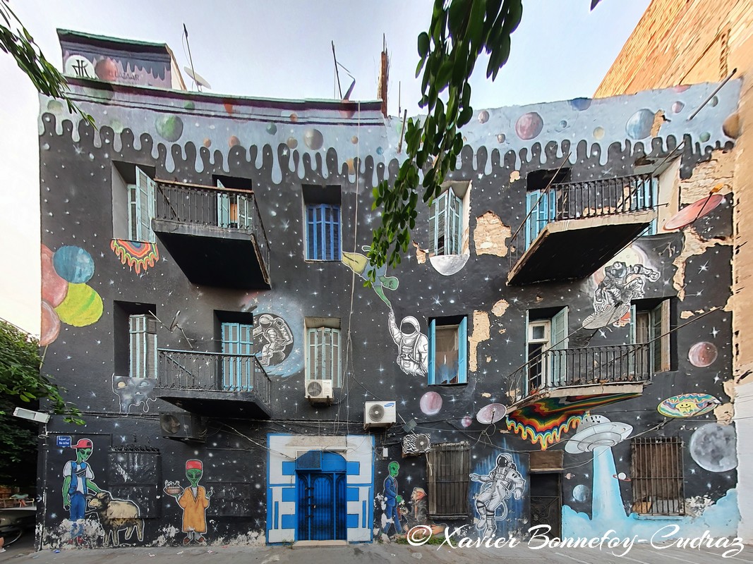 Tunis - Street Art
Mots-clés: El Kallaline geo:lat=36.80562061 geo:lon=10.17889028 geotagged TUN Tunisie Tunis Graffiti